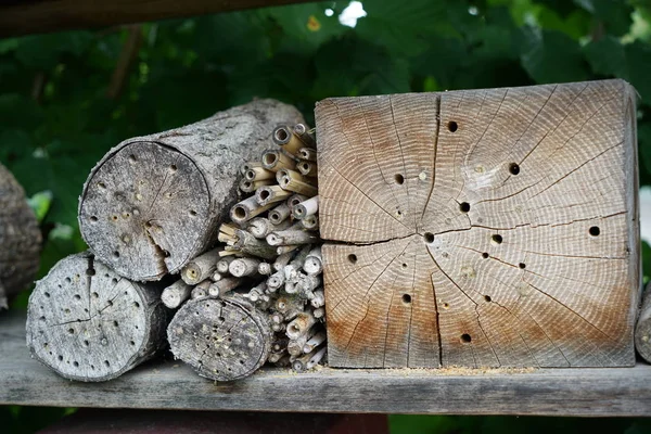 Ein Insektenhotel Kann Leicht Aus Einer Vielzahl Von Materialien Hergestellt — Stockfoto