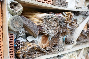 Bir böcek oteli çeşitli malzemelerden kolayca yapılabilir ve böcekleri izlemede çok iyidir.