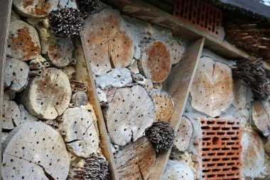 Bir böcek oteli çeşitli malzemelerden kolayca yapılabilir ve böcekleri izlemede çok iyidir.