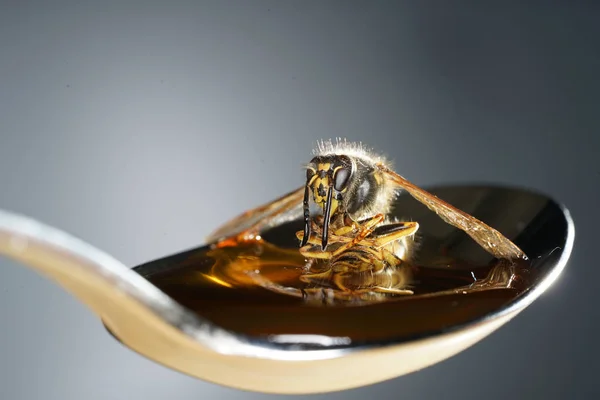 Hôtel Insectes Peut Être Facilement Fabriqué Partir Une Variété Matériaux — Photo