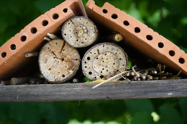 Ein Insektenhotel Kann Leicht Aus Einer Vielzahl Von Materialien Hergestellt — Stockfoto