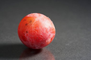 Mirabelle, ayrıca Sarı Erik olarak da bilinir, eriğin bir alt türüdür..