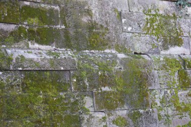 Doğal taştan ustalıkla inşa edilmiş bir duvar.