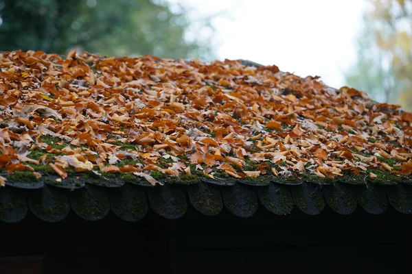 Telhado Com Diferentes Materiais Coberto Com Musgo Outras Plantas — Fotografia de Stock