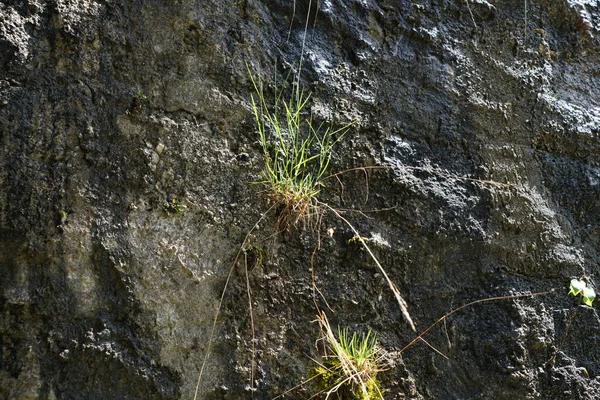 Artísticamente Construido Muro Con Piedra Natural —  Fotos de Stock