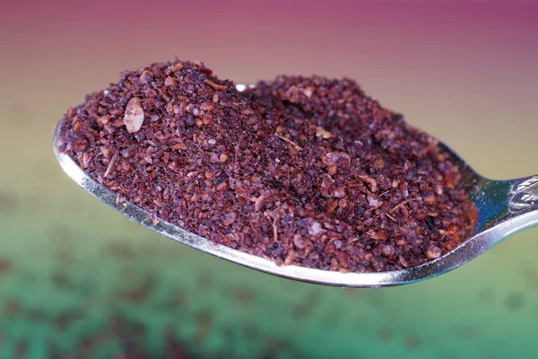 Makro mercekli Sumac baharat tozu stüdyodaki renkli gradyan karşısında fotoğraflandı