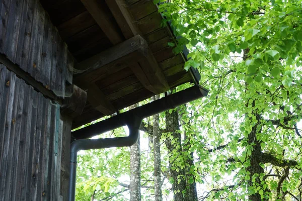 Uma Cabana Madeira Caçador Marceneiro Floresta — Fotografia de Stock