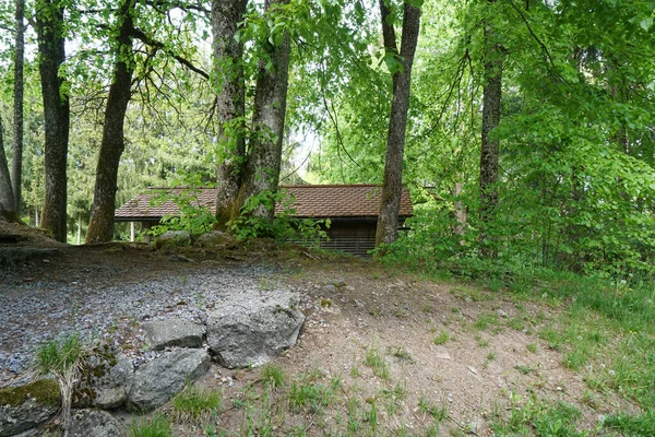 Une Cabane Bois Chasseur Menuisier Dans Forêt — Photo