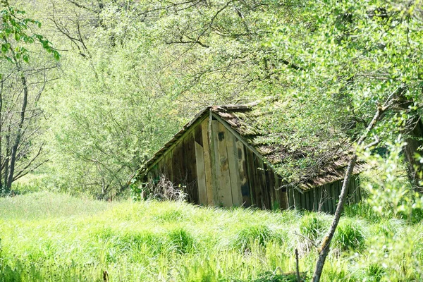 Ormandaki Bir Avcı Ahşap Işçisinden Ahşap Bir Kulübe — Stok fotoğraf