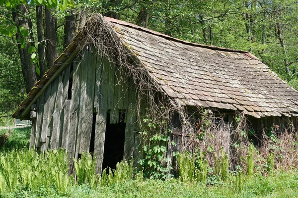 Uma Cabana Madeira Caçador Marceneiro Floresta — Fotografia de Stock