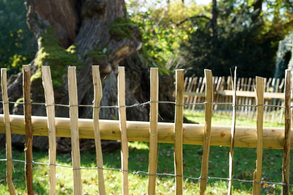 Kézzel Készített Kerítés Fényképezte Szabadban Legjobb Napfény — Stock Fotó