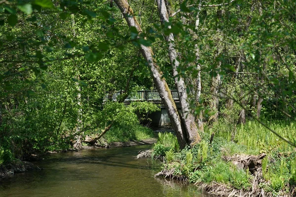 Puente Madera Bosque Que Conduce Sobre Pequeño Arroyo Fotografiado Verano — Foto de Stock