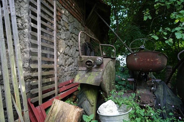 Fleur Jaune Photographiée Dans Jardin Maison Bavière — Photo