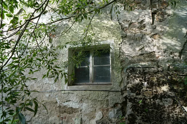 Lugar Abandonado Verão Fotografado Com Luz Natural — Fotografia de Stock