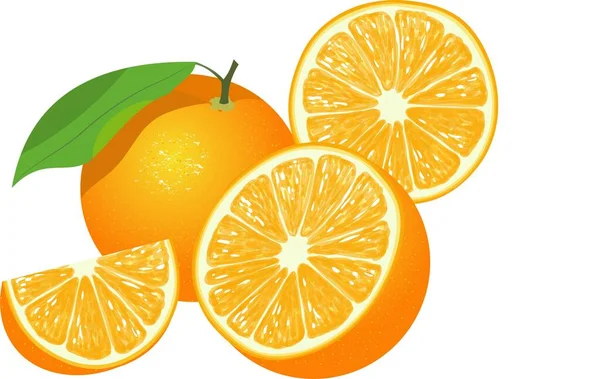 Cały Świeży Owoc Pomarańczy Zielonym Liściem Połowa Plasterek Izolowane Białym — Wektor stockowy