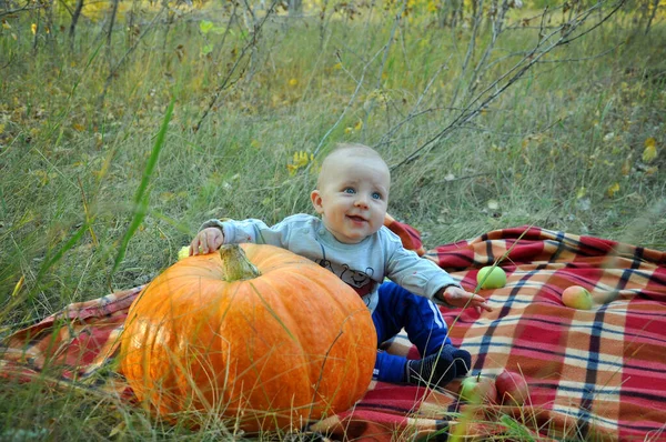 Kleiner Junge Sitzt Neben Einem Großen Kürbis Hintergrund Einer Herbstlichen — Stockfoto