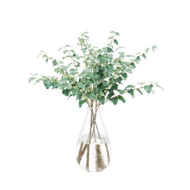 Cam vazo dekoratif Sürünen incir bitkisi