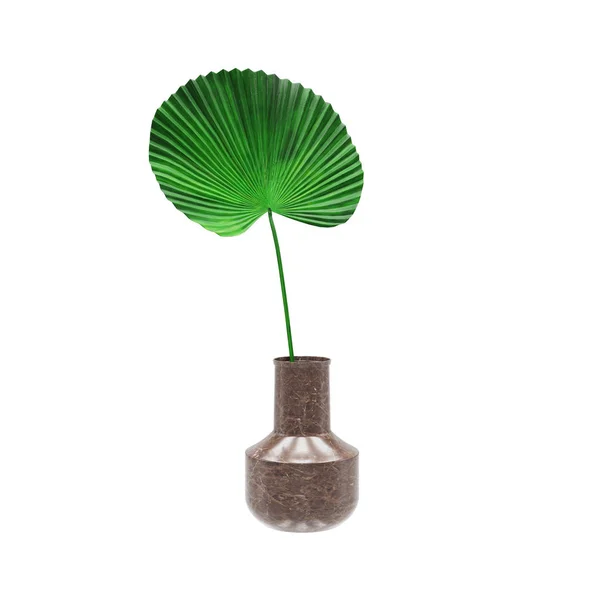 Dekoracyjny wentylator liści palmowych w wazonie z kamienia marmuru — Zdjęcie stockowe