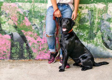 adam sokakta oynarken bir köpek labrador ile