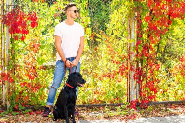 adam bir köpek ile bir parkta sonbaharda yürür.