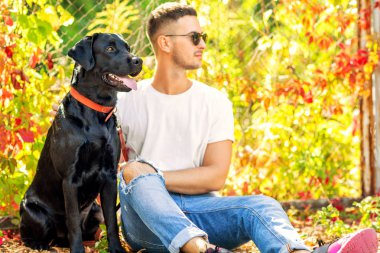 adam bir köpek ile bir parkta sonbaharda yürür.