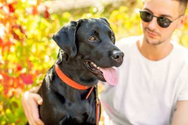 adam bir köpek ile bir parkta sonbaharda yürür.