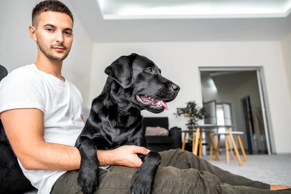 Freelancer Guy Sitting Home Working Dog Embrace Black Labrador — Stock Photo, Image