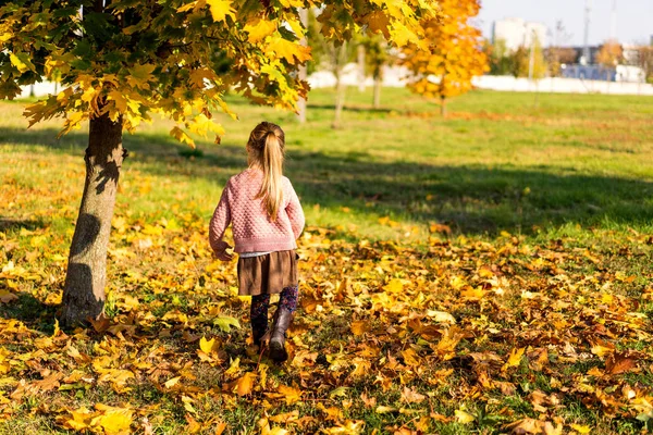 Girl Years Old Walks Autumn Park — Stock Photo, Image