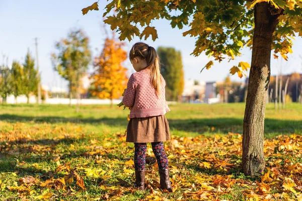 Menina Anos Idade Caminha Parque Outono — Fotografia de Stock