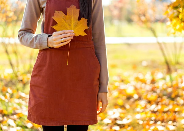 Girl Holds Her Hand Yellow Leaf Autumn Park Sunset — Stock Photo, Image