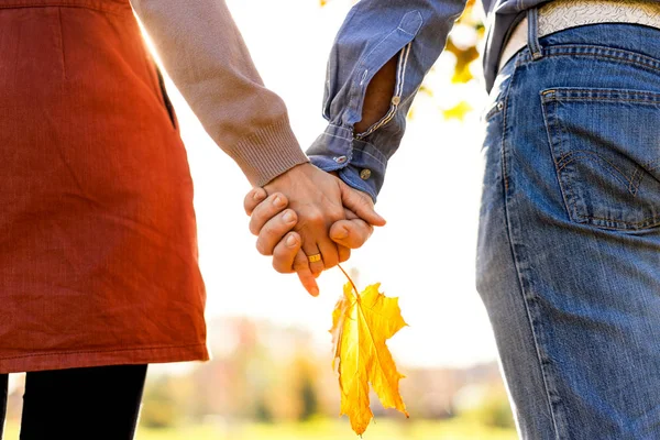 Pareja Joven Enamorada Caminando Parque Otoño Cogida Mano Mirando Atardecer — Foto de Stock