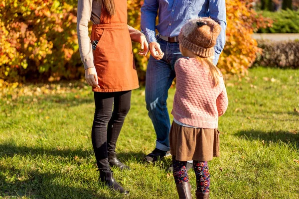 Familia Caminando Parque Otoño Atardecer — Foto de Stock