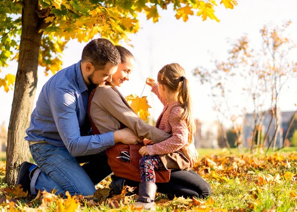 Promenade Famille Dans Parc Automne Coucher Soleil — Photo