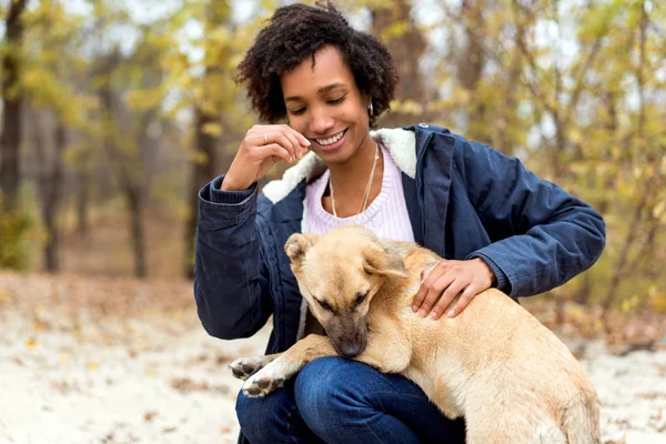 Menina Afroamericana Parque Outono Brincando Com Seu Cão — Fotografia de Stock
