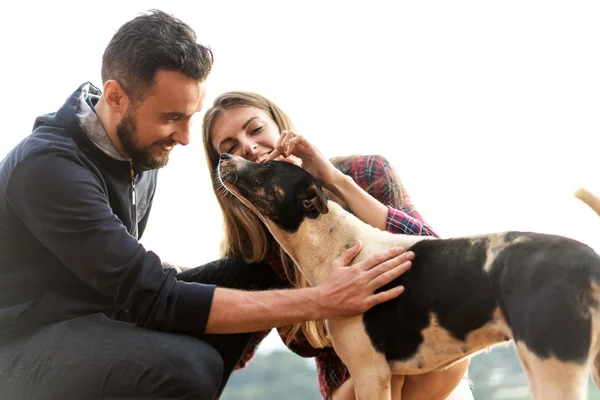 Casal apaixonado por um cão nas montanhas — Fotografia de Stock