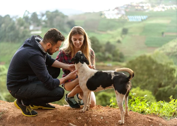 Casal apaixonado por um cão nas montanhas — Fotografia de Stock