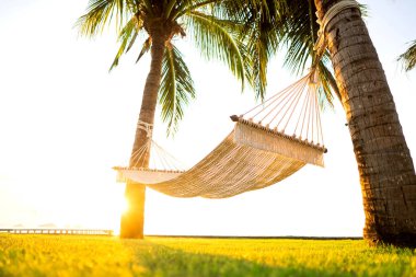 dağlara bakan tropikal palmiye ağaçları hamak