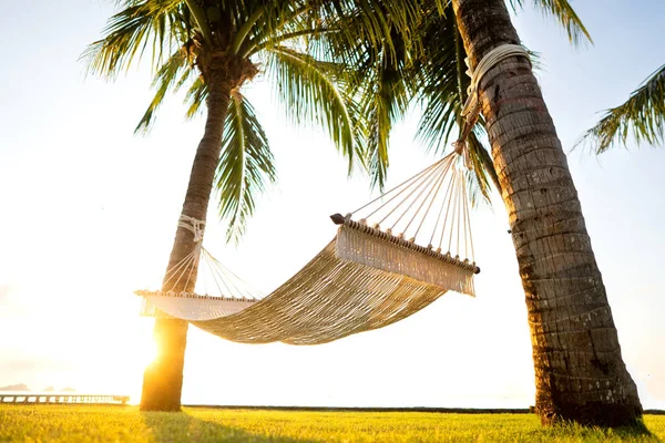 Amaca sulle palme tropicali con vista sulle montagne — Foto Stock