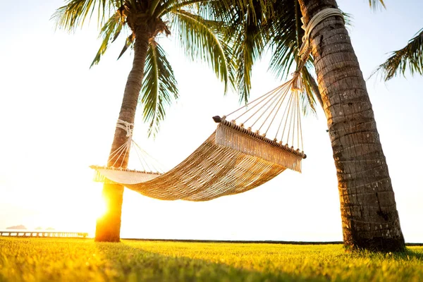 dağlara bakan tropikal palmiye ağaçları hamak