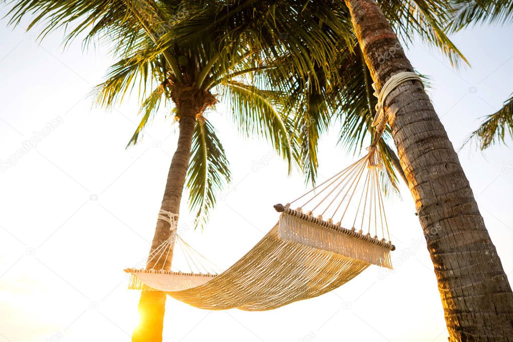 hammock on tropical palm trees overlooking the mountains