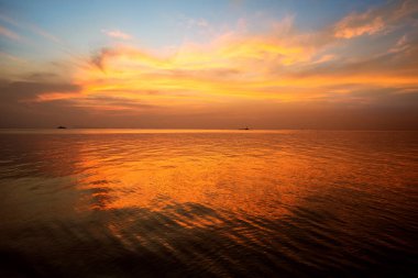 tropikal palmiye ağaçları ile denizde günbatımı