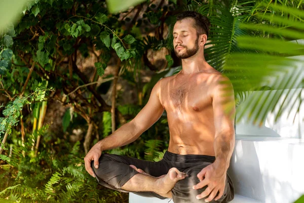 Adam ormanda yoga yapıyor — Stok fotoğraf