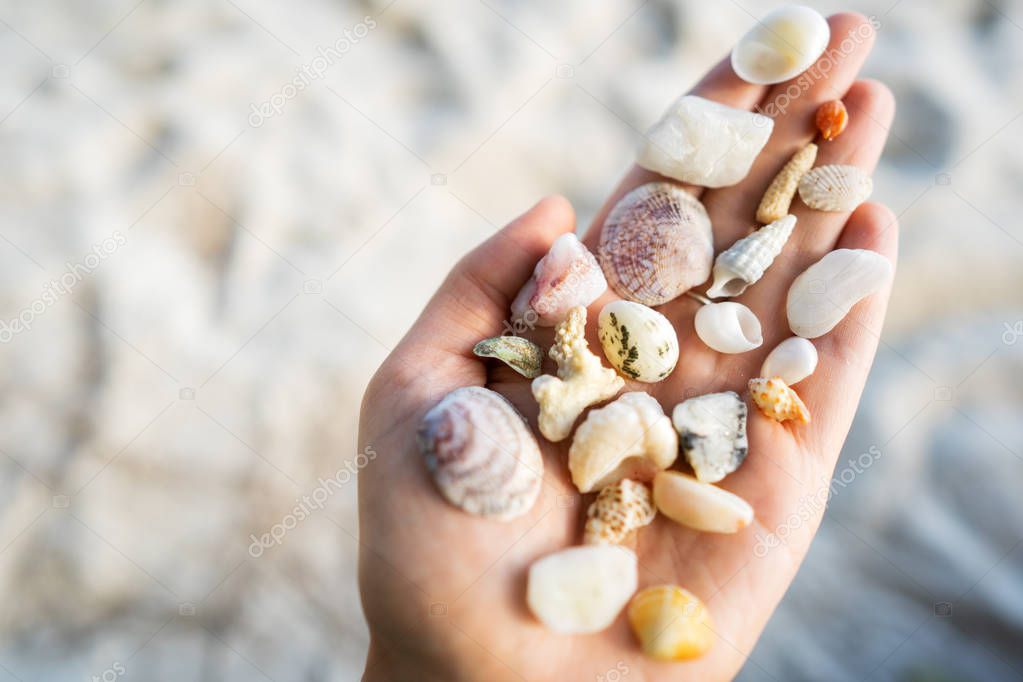 hand with seashells on the background of the sea