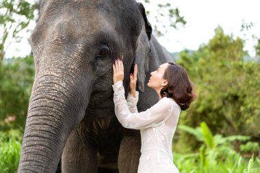 Kız ormanda bir fil sarılma