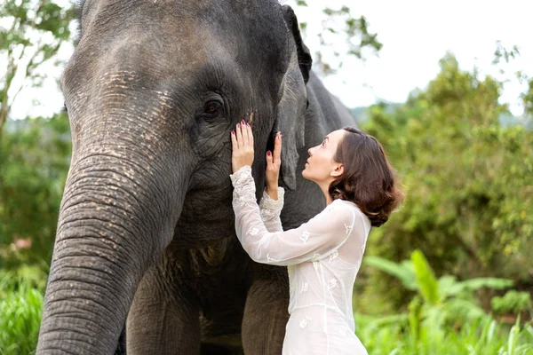 정글에서 코끼리를 포옹 하는 여자 — 스톡 사진