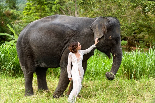 Девушка обнимает слона в джунглях — стоковое фото