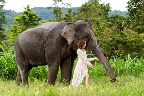 Fille étreignant un éléphant dans la jungle — Photo