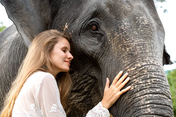 Девушка обнимает слона в джунглях — стоковое фото