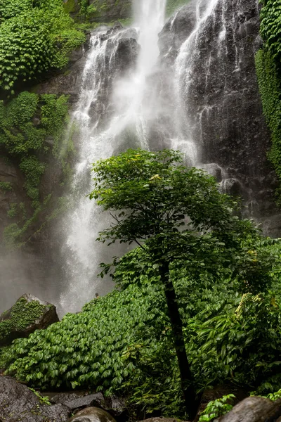 Cascada en Indonesia vista inferior — Foto de Stock