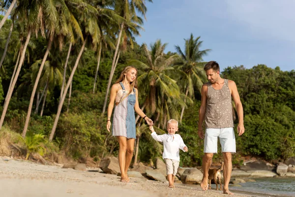 Paseo familiar por la playa al atardecer con su hijo: silueta de vista trasera —  Fotos de Stock